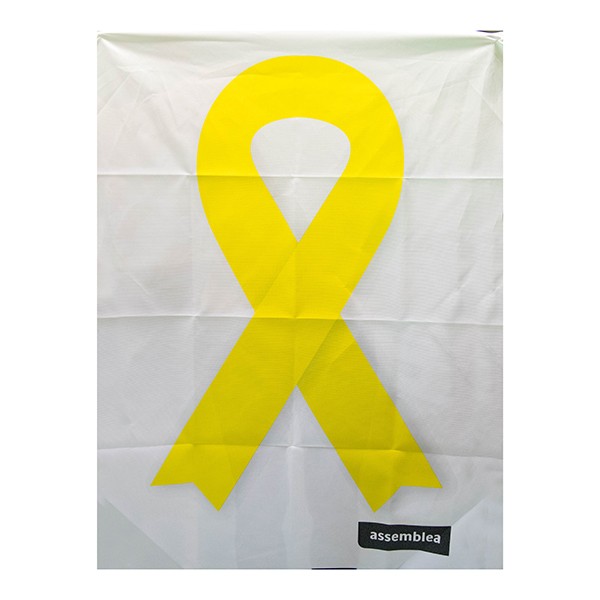 Assemblea Nacional Catalana