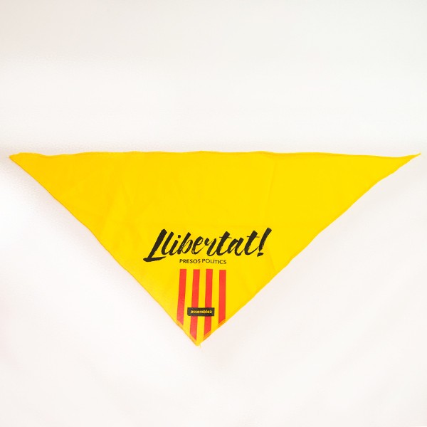 Assemblea Nacional Catalana