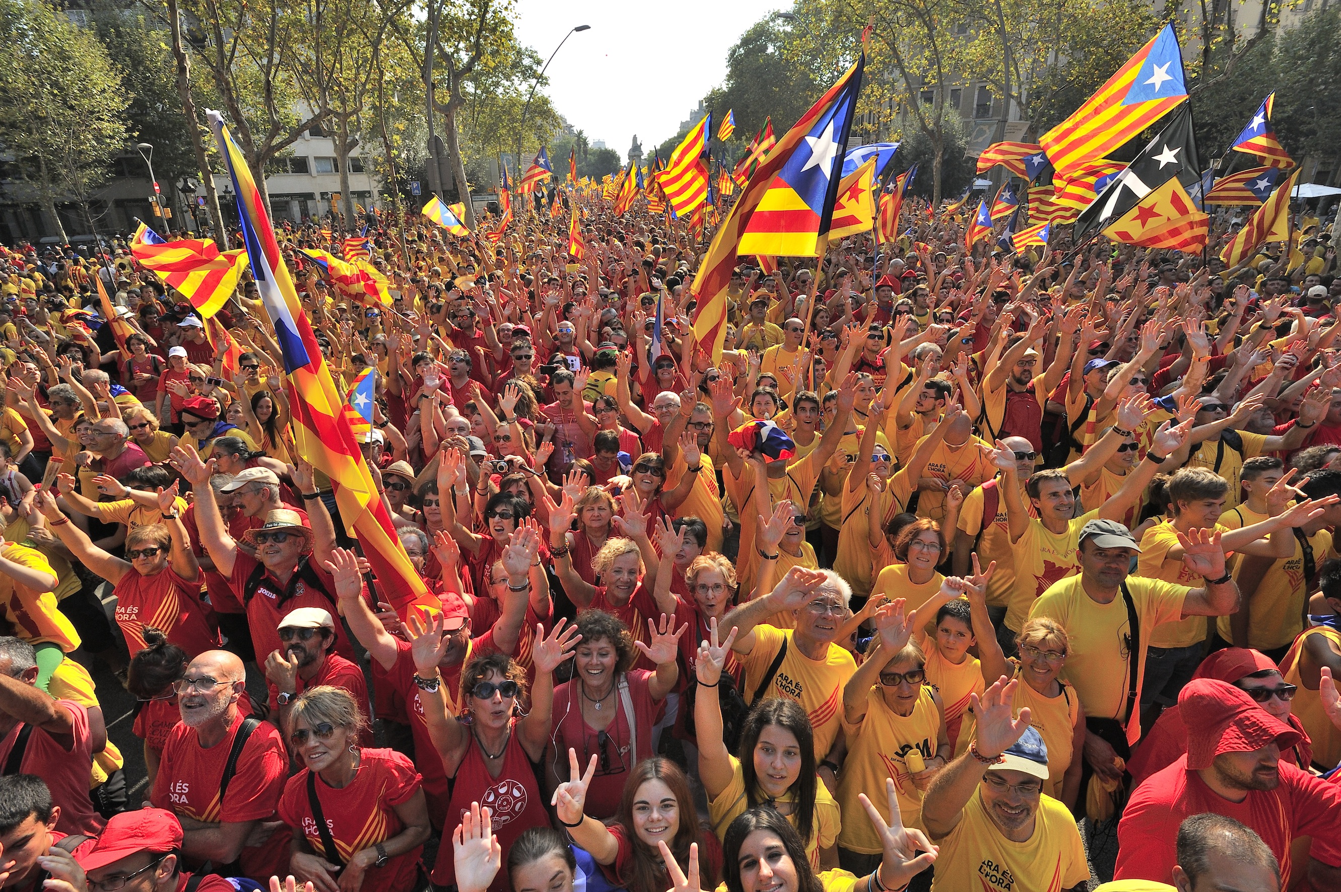 Assemblea Nacional Catalana