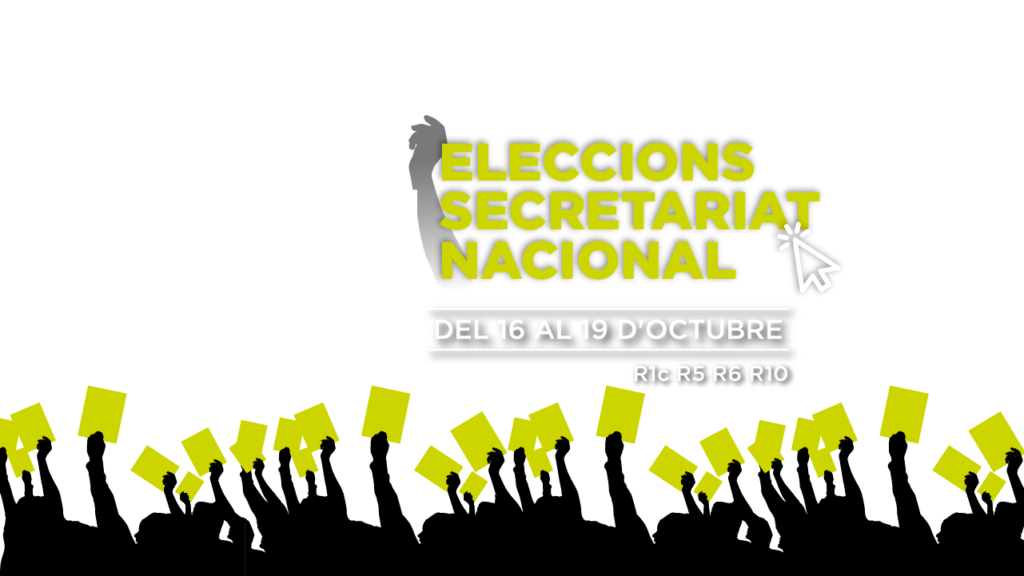 Assemblea Nacional Catalana