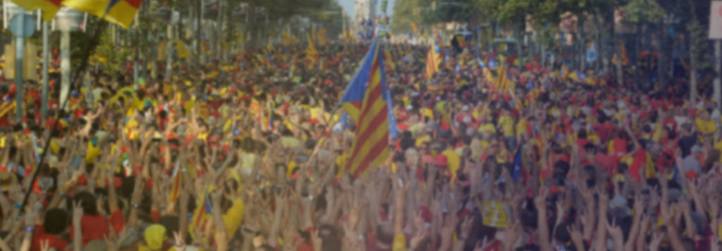 Assemblea Nacional Catalana