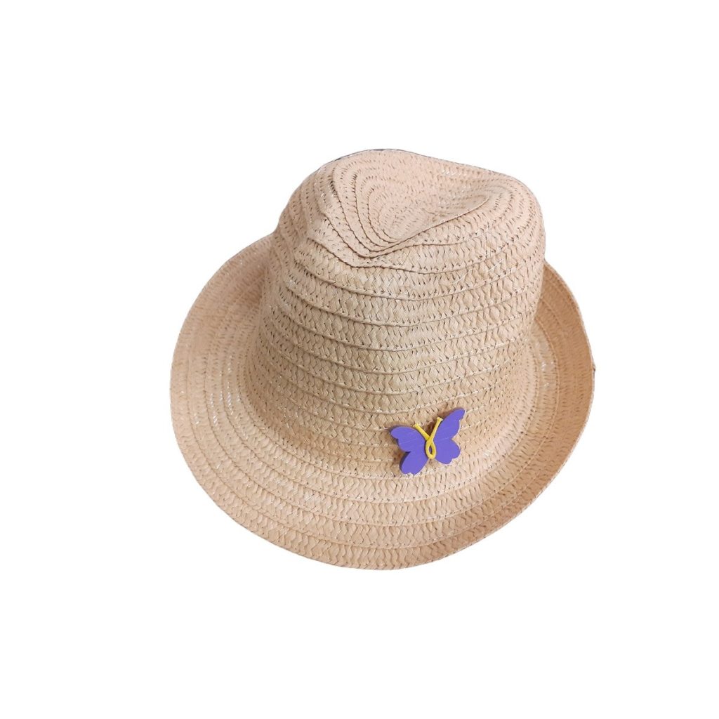 Assemblea Nacional Catalana